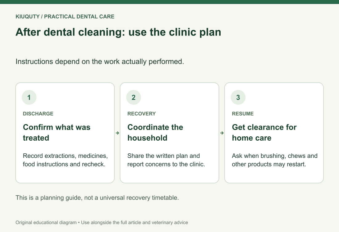 After dental cleaning: use the clinic plan. Instructions depend on the work actually performed.