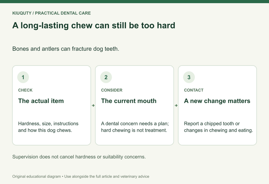 A long-lasting chew can still be too hard. Bones and antlers can fracture dog teeth.