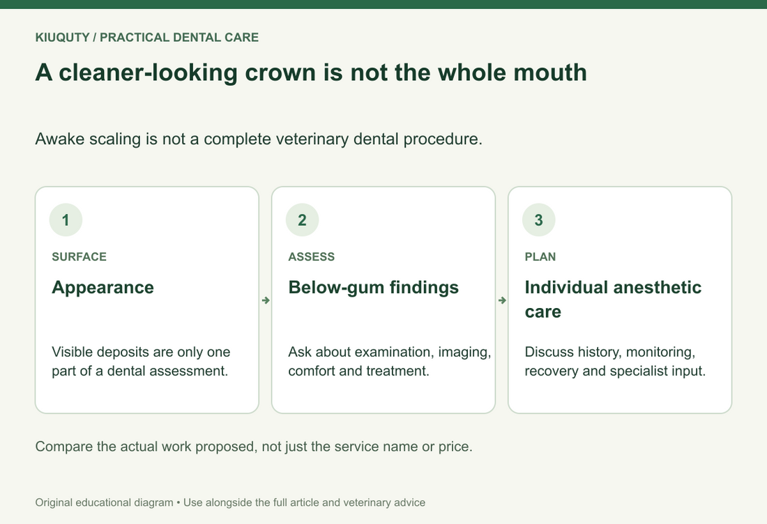 A cleaner-looking crown is not the whole mouth. Awake scaling is not a complete veterinary dental procedure.