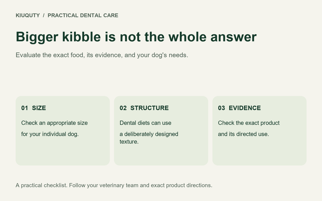 Does Bigger Kibble Clean Dog Teeth Better? — practical checklist