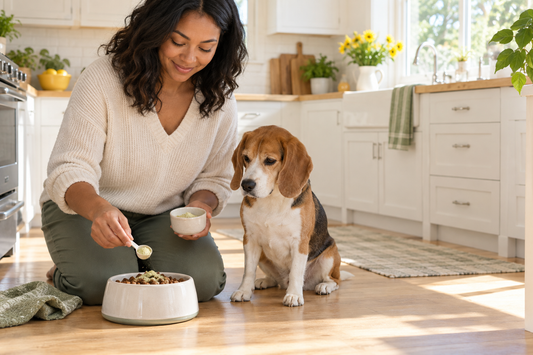 Dog owner adding a measured dental-care powder to a beagle's food