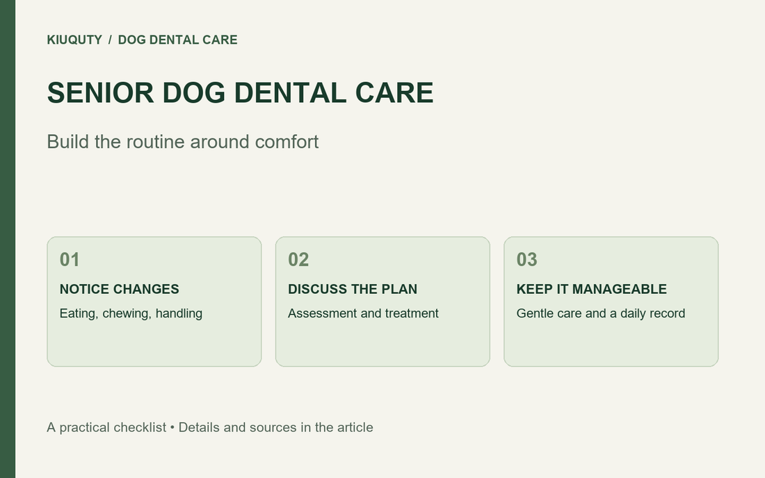 A senior dog care checklist: notice changes, discuss the plan, and keep home care manageable.