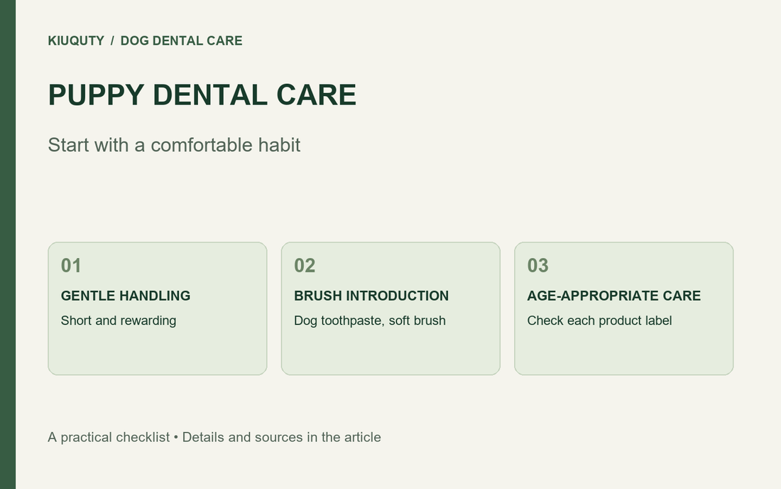 Puppy dental-care checklist: gentle handling, brush introduction, and age-appropriate products.