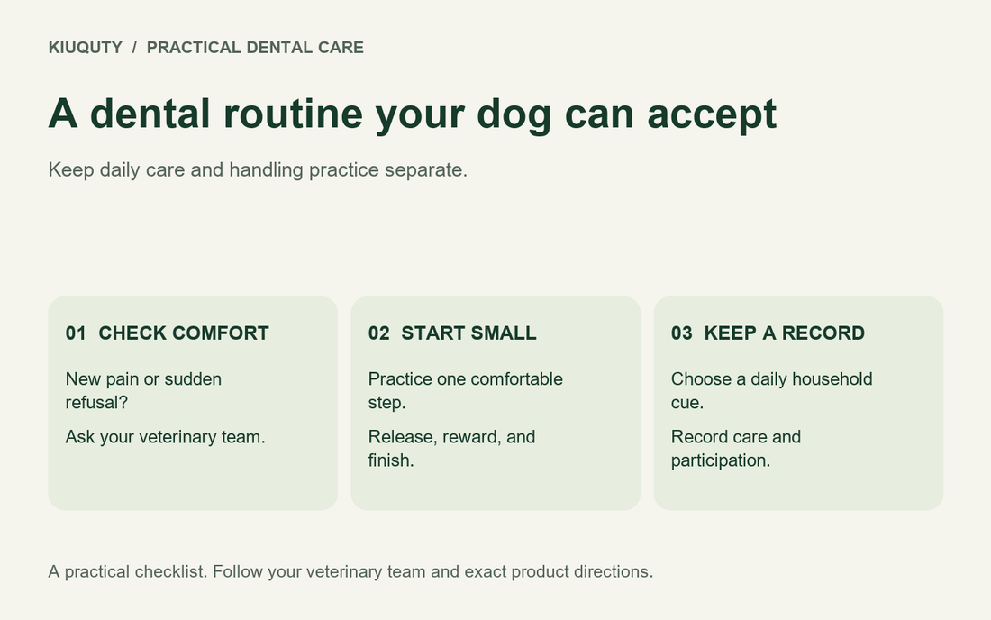 How to Start a Dental Routine for a Dog That Hates Brushing — practical checklist