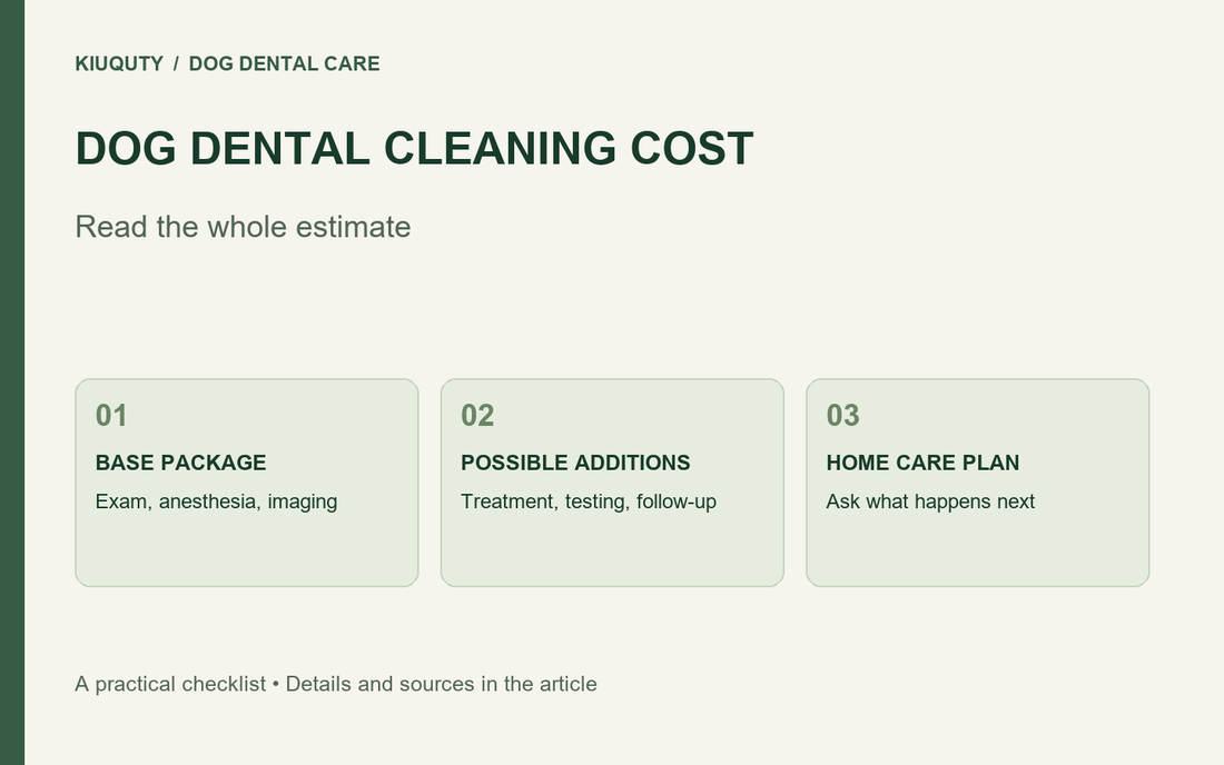 Dental cleaning estimate checklist: base package, possible additions, and home care plan.