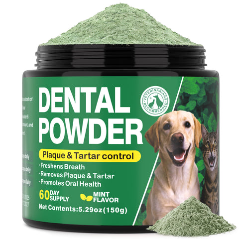 Kiuquty dental powder jar, mint flavor, 150g