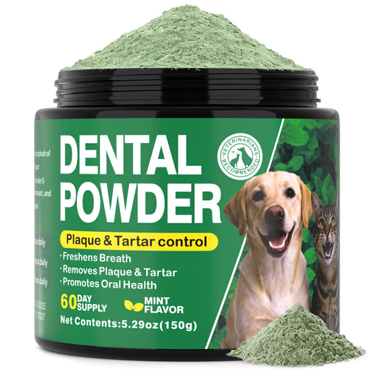Kiuquty dental powder jar, mint flavor, 150g