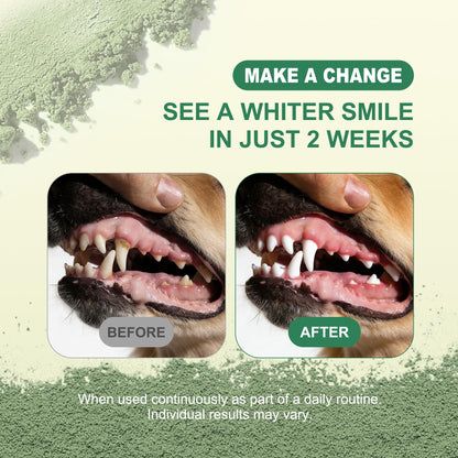 Dental powder routine before-and-after illustration; individual results may vary