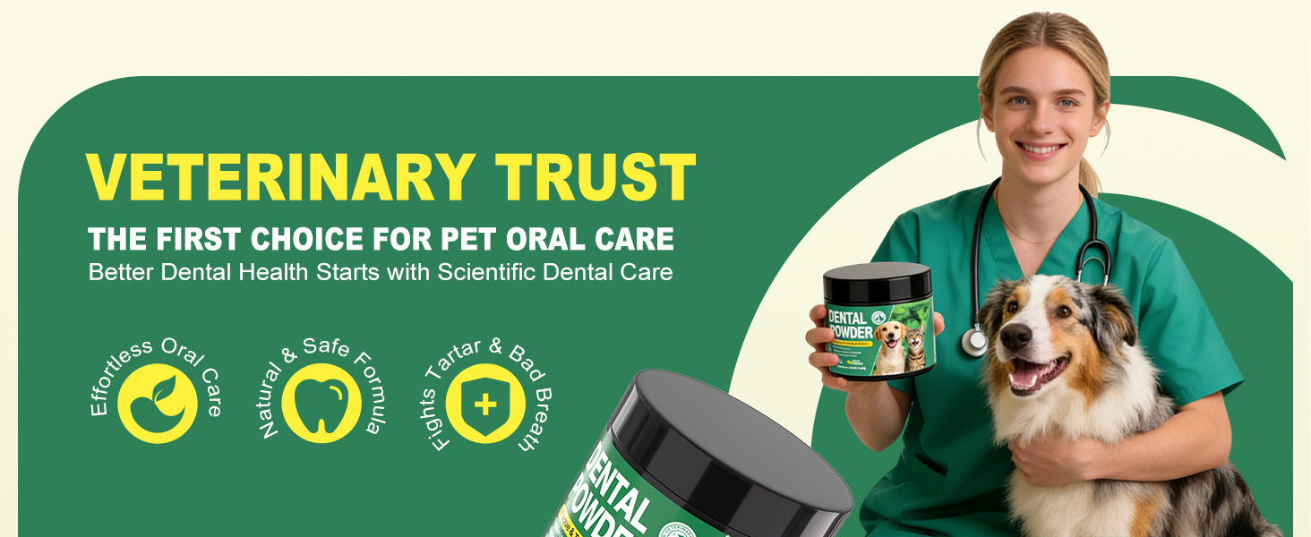 Kiuquty dental powder before-and-after routine illustration