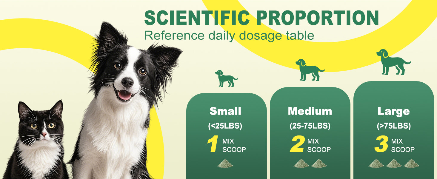 Kiuquty dental powder ingredient overview