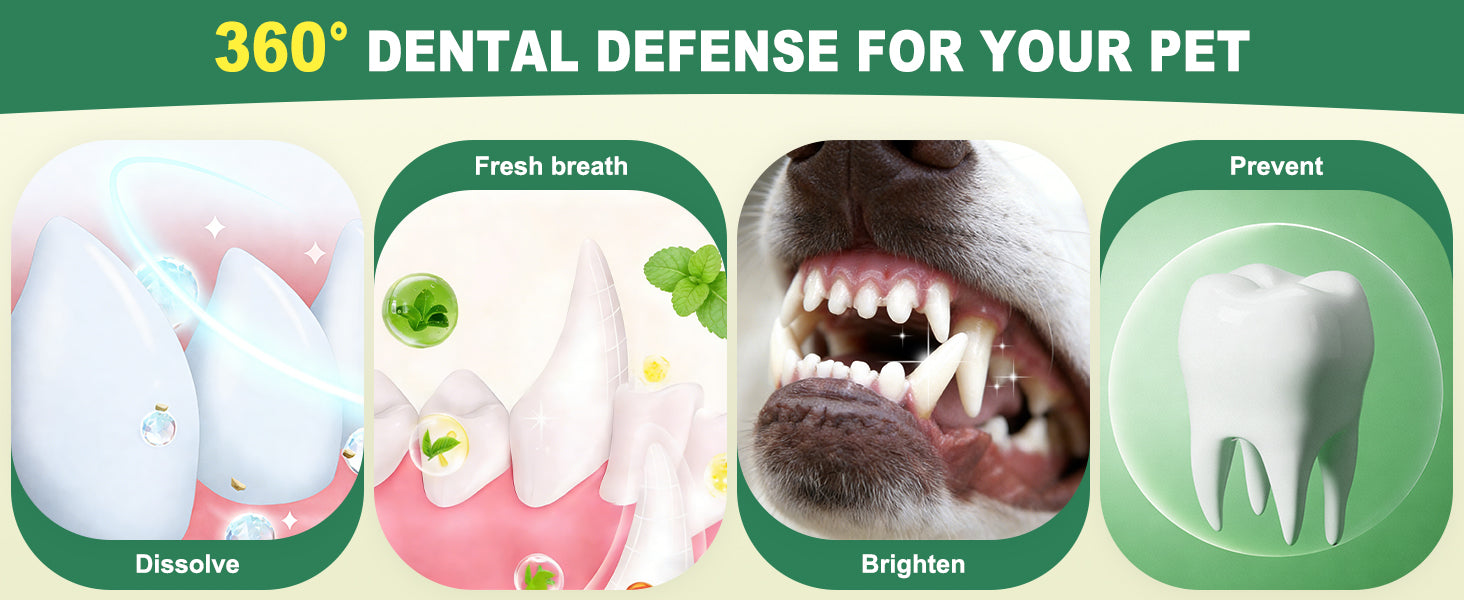 Kiuquty dental powder usage highlight